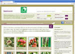 Blackmoor Nurseries
